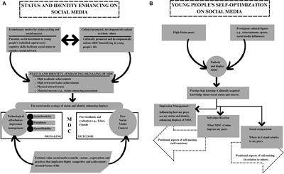 Young people on social media in a globalized world: self-optimization in highly competitive and achievement-oriented forms of life